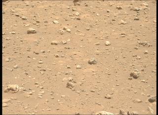 View image taken on Mars, Mars Perseverance Sol 2020: Left Mastcam-Z Camera