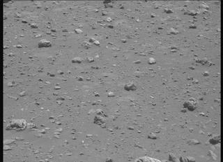 View image taken on Mars, Mars Perseverance Sol 2020: Left Mastcam-Z Camera