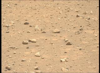 View image taken on Mars, Mars Perseverance Sol 2020: Left Mastcam-Z Camera