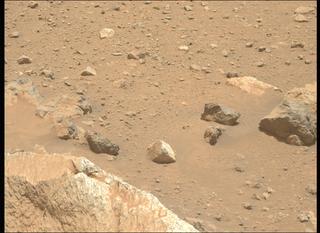 View image taken on Mars, Mars Perseverance Sol 2020: Left Mastcam-Z Camera