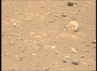 View image taken on Mars, Mars Perseverance Sol 2020: Left Mastcam-Z Camera