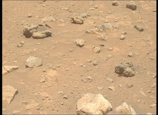 View image taken on Mars, Mars Perseverance Sol 2020: Left Mastcam-Z Camera