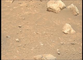 View image taken on Mars, Mars Perseverance Sol 2020: Left Mastcam-Z Camera