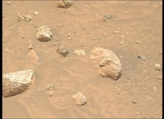 View image taken on Mars, Mars Perseverance Sol 2020: Left Mastcam-Z Camera