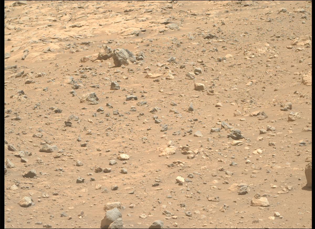 This image was taken by MCZ_RIGHT onboard NASA's Mars rover Perseverance on Sol 2020