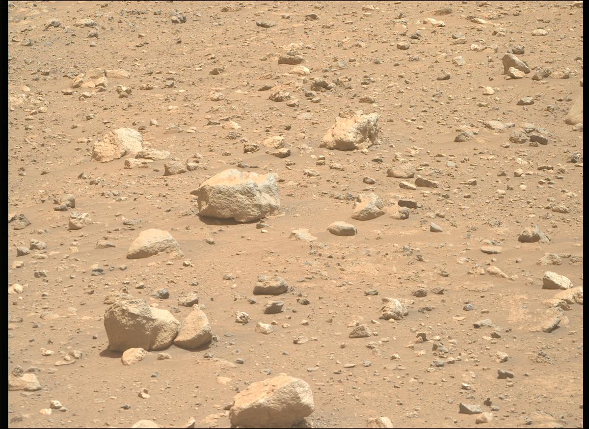 This image was taken by MCZ_RIGHT onboard NASA's Mars rover Perseverance on Sol 2020