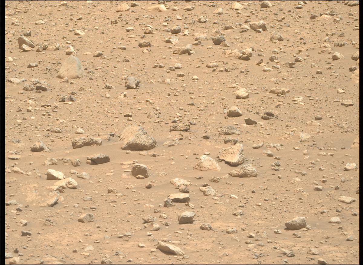 This image was taken by MCZ_RIGHT onboard NASA's Mars rover Perseverance on Sol 2020