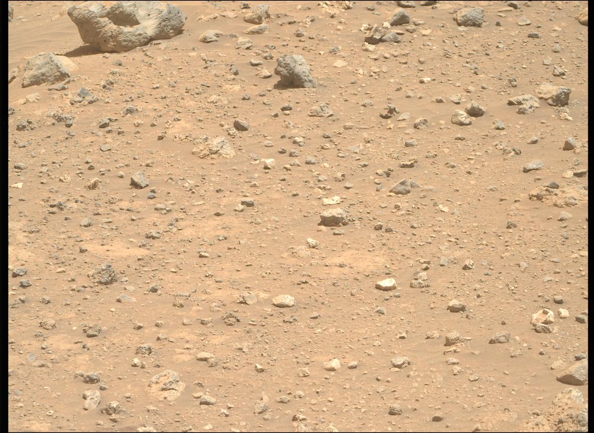 This image was taken by MCZ_RIGHT onboard NASA's Mars rover Perseverance on Sol 2020