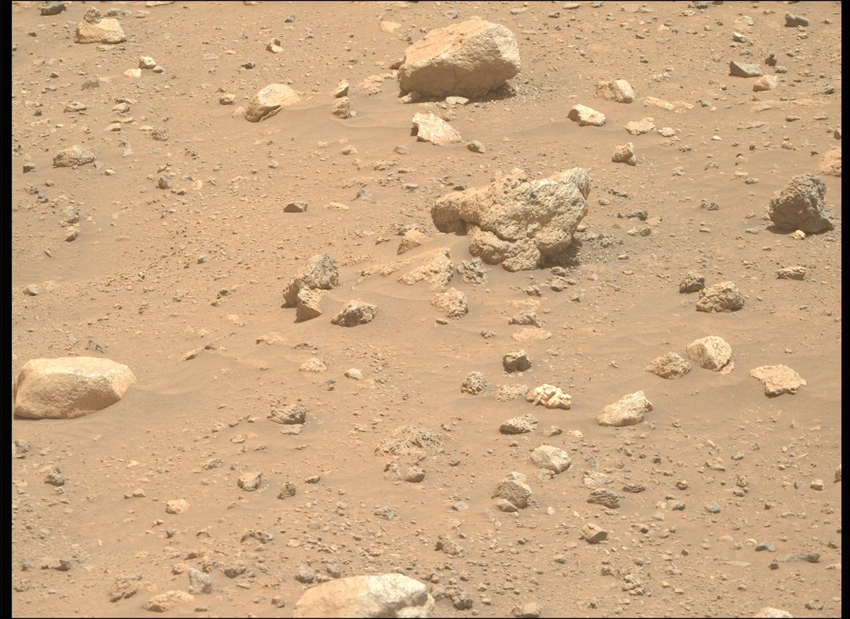 This image was taken by MCZ_RIGHT onboard NASA's Mars rover Perseverance on Sol 2020