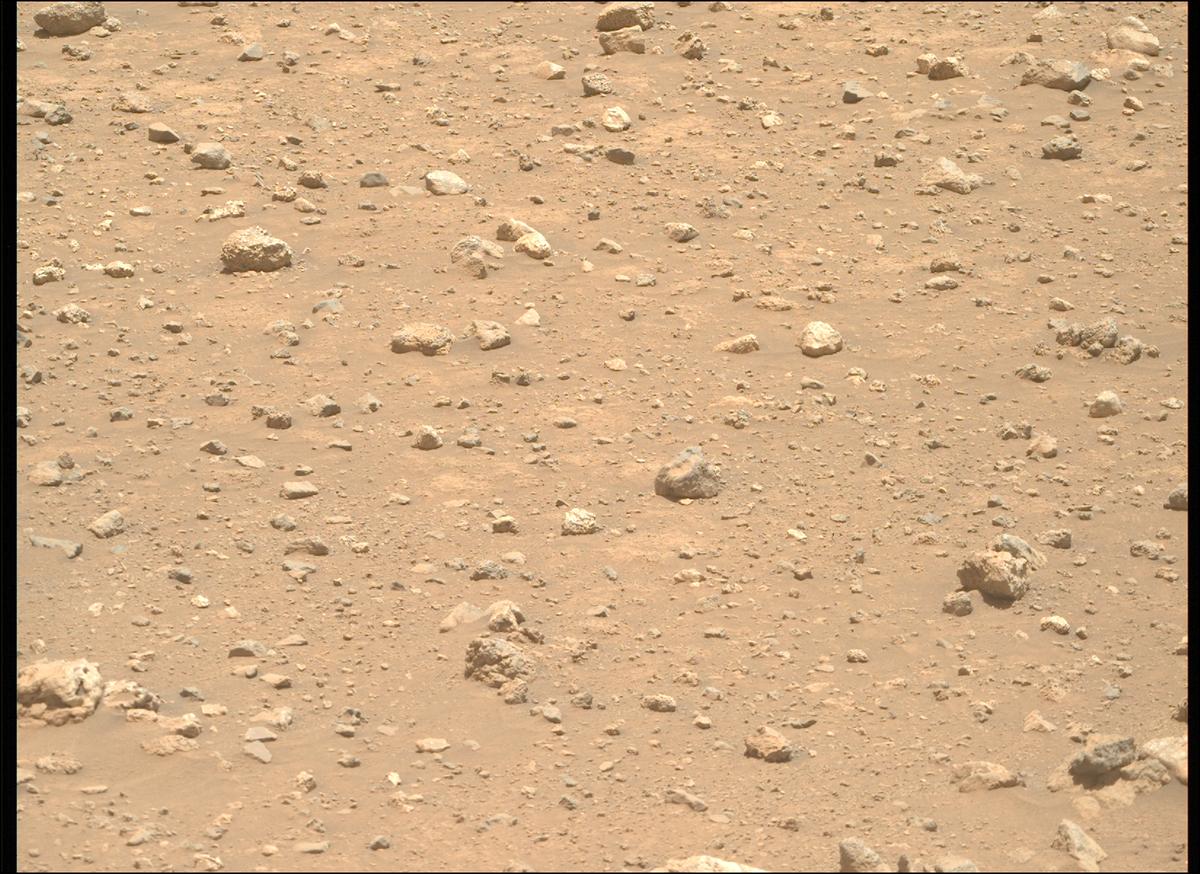 This image was taken by MCZ_RIGHT onboard NASA's Mars rover Perseverance on Sol 2020