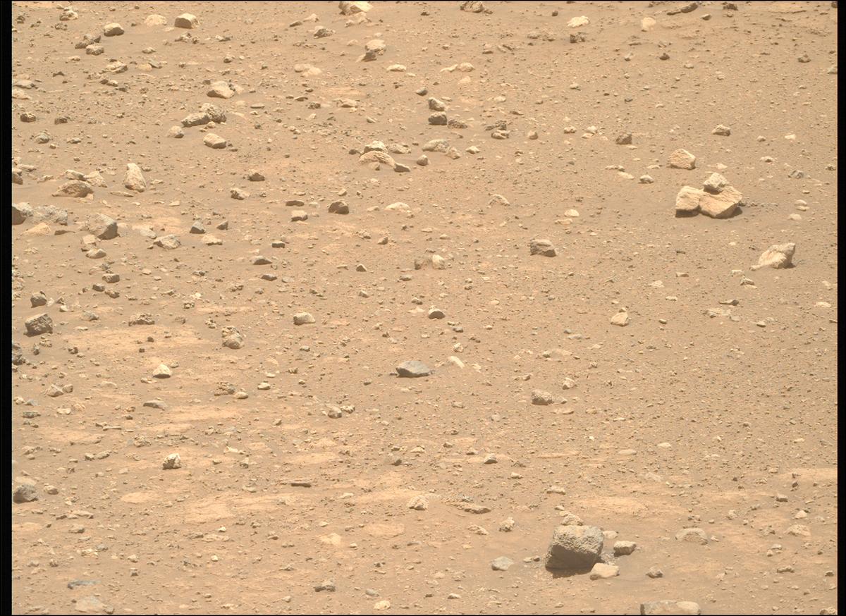 This image was taken by MCZ_RIGHT onboard NASA's Mars rover Perseverance on Sol 2020