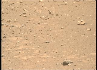 View image taken on Mars, Mars Perseverance Sol 2020: Right Mastcam-Z Camera
