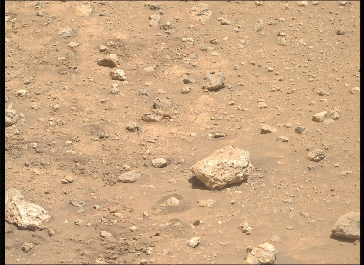 This image was taken by MCZ_RIGHT onboard NASA's Mars rover Perseverance on Sol 2020