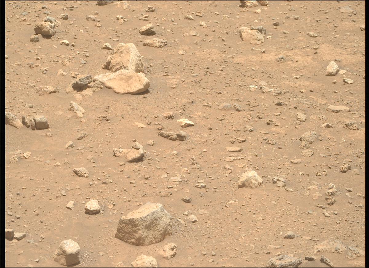 This image was taken by MCZ_RIGHT onboard NASA's Mars rover Perseverance on Sol 2020