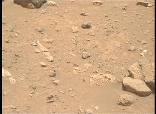 View image taken on Mars, Mars Perseverance Sol 2020: Right Mastcam-Z Camera