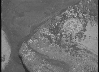 View image taken on Mars, Mars Perseverance Sol 2021: Left Mastcam-Z Camera