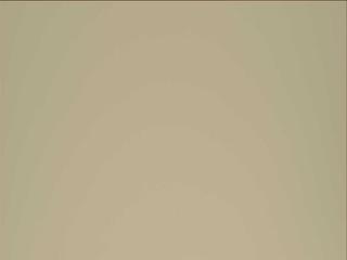 View image taken on Mars, Mars Perseverance Sol 2021: Left Mastcam-Z Camera