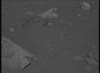 View image taken on Mars, Mars Perseverance Sol 2021: Left Mastcam-Z Camera