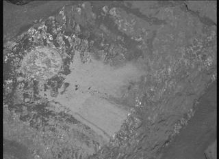 View image taken on Mars, Mars Perseverance Sol 2021: Right Mastcam-Z Camera