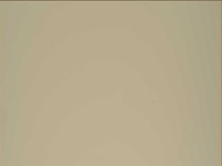 View image taken on Mars, Mars Perseverance Sol 2021: Right Mastcam-Z Camera
