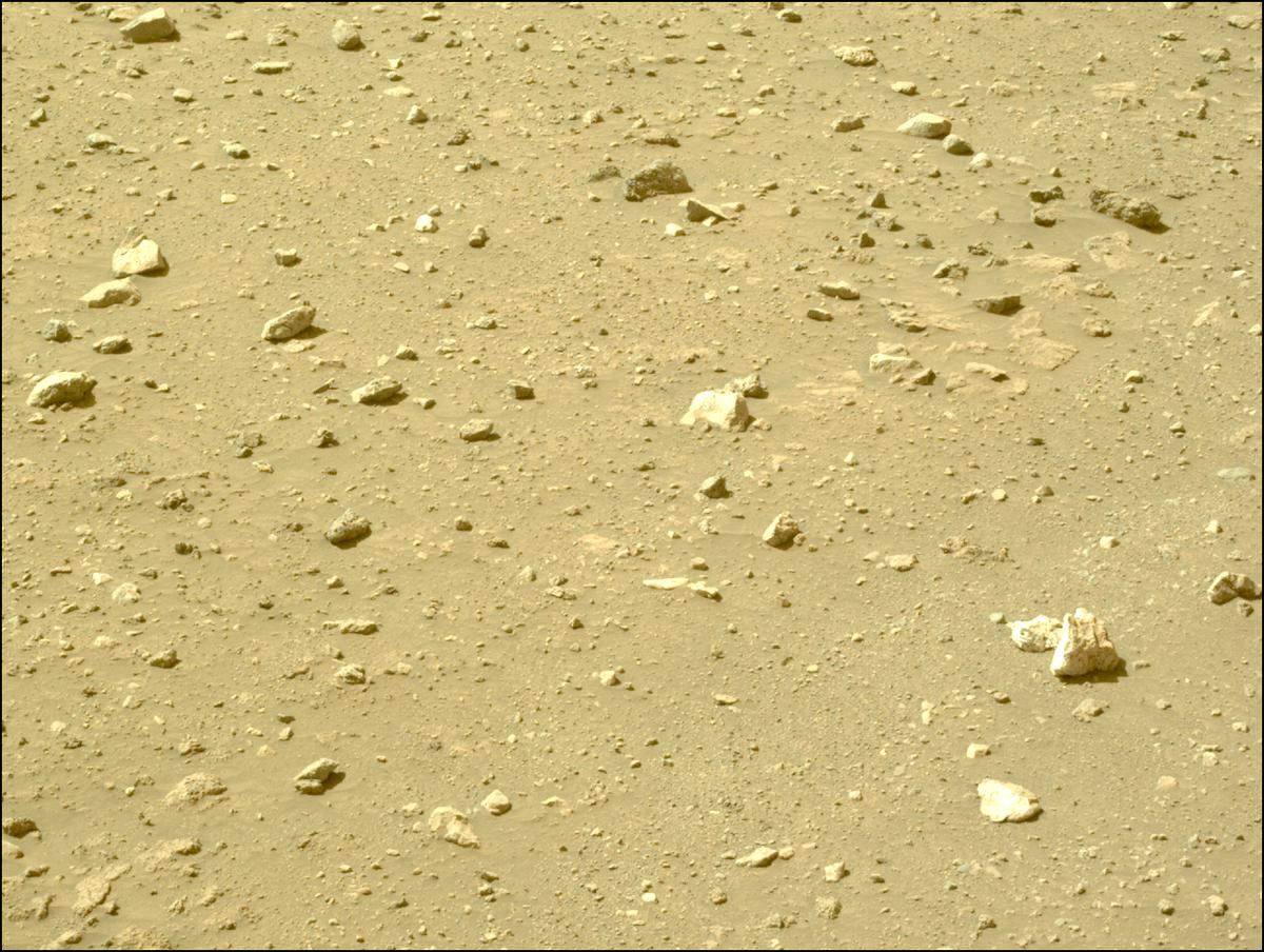 This image was taken by NAVCAM_LEFT onboard NASA's Mars rover Perseverance on Sol 2023