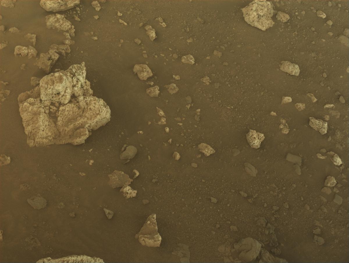 This image was taken by NAVCAM_LEFT onboard NASA's Mars rover Perseverance on Sol 2023