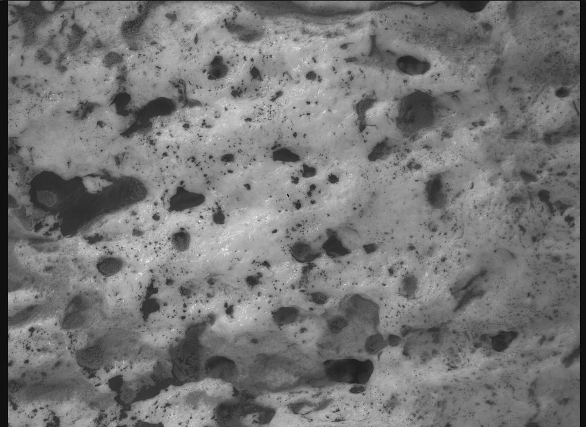 This image was taken by SHERLOC_WATSON onboard NASA's Mars rover Perseverance on Sol 2023