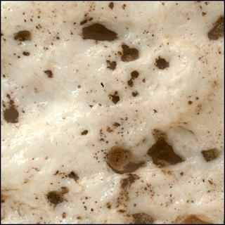 View image taken on Mars, Mars Perseverance Sol 2023: WATSON Camera 