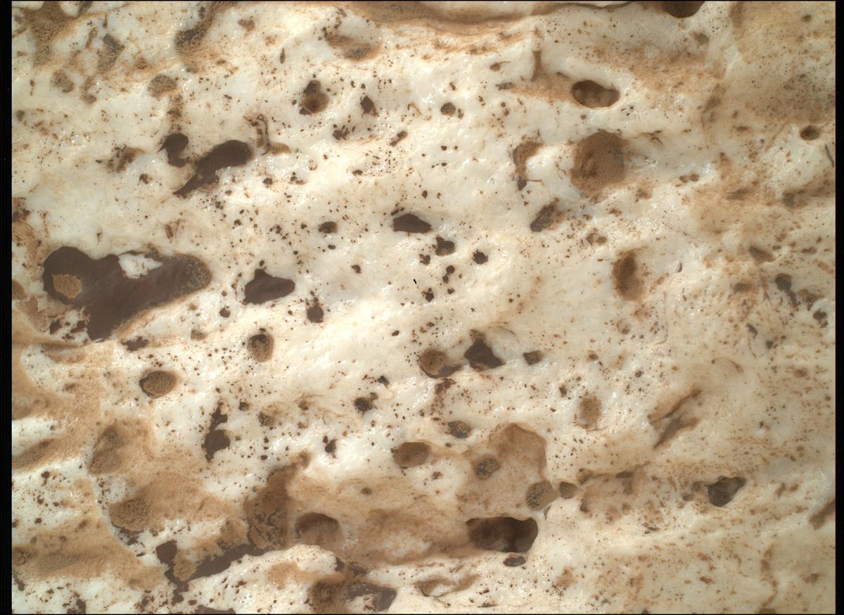 This image was taken by SHERLOC_WATSON onboard NASA's Mars rover Perseverance on Sol 2023