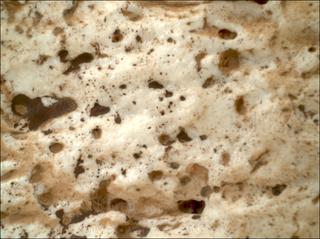 View image taken on Mars, Mars Perseverance Sol 2023: WATSON Camera 