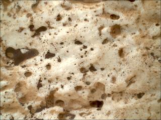 View image taken on Mars, Mars Perseverance Sol 2023: WATSON Camera 