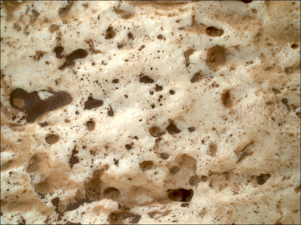This image was taken by SHERLOC_WATSON onboard NASA's Mars rover Perseverance on Sol 2023