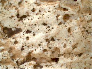 View image taken on Mars, Mars Perseverance Sol 2023: WATSON Camera 