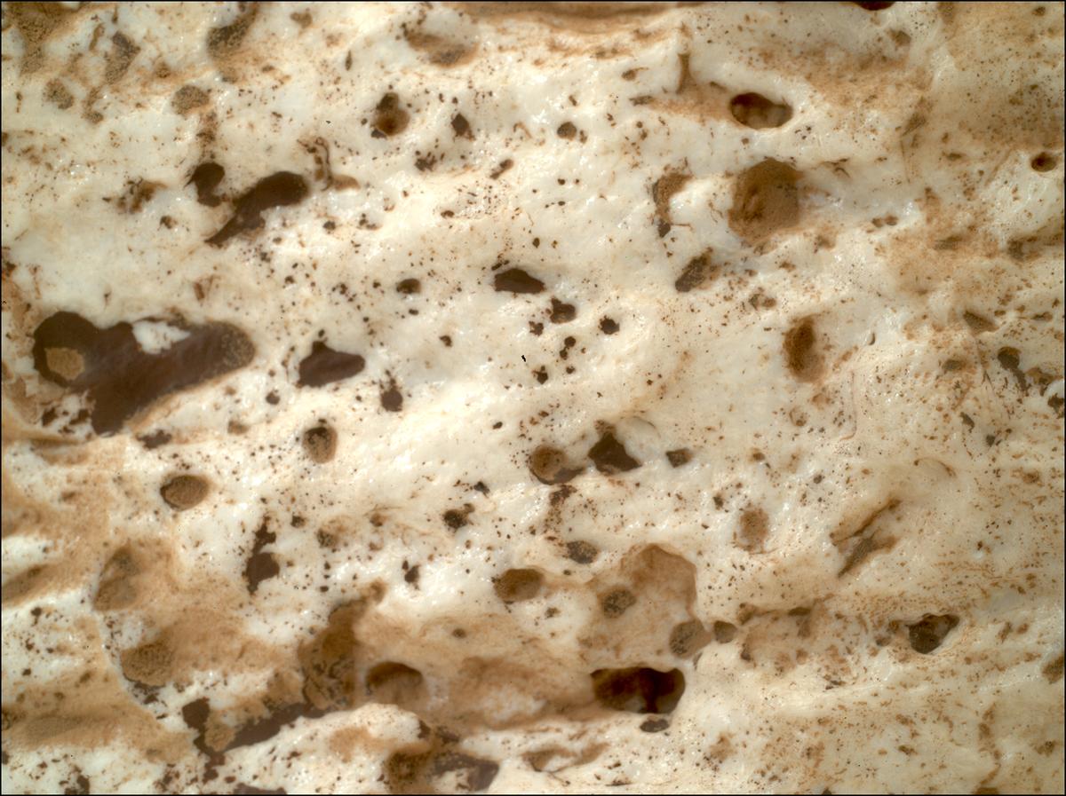This image was taken by SHERLOC_WATSON onboard NASA's Mars rover Perseverance on Sol 2023