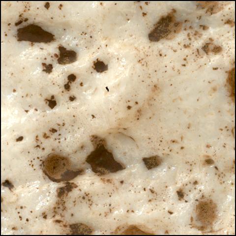 This image was taken by SHERLOC_WATSON onboard NASA's Mars rover Perseverance on Sol 2023