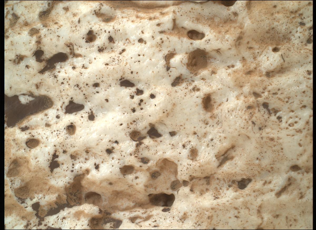 This image was taken by SHERLOC_WATSON onboard NASA's Mars rover Perseverance on Sol 2023