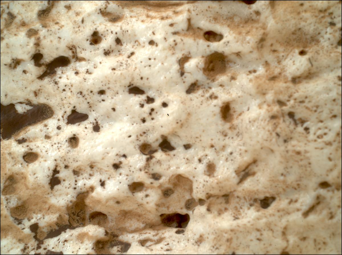 This image was taken by SHERLOC_WATSON onboard NASA's Mars rover Perseverance on Sol 2023