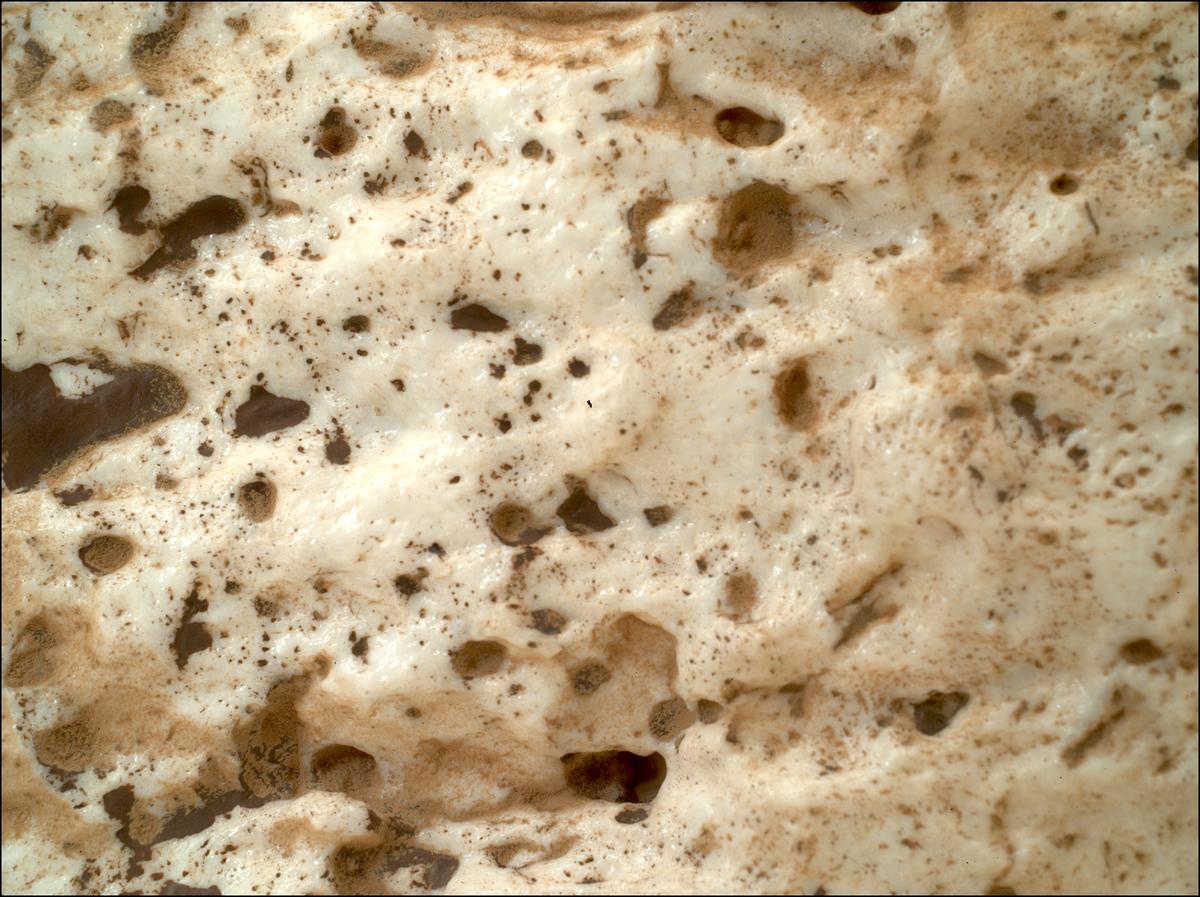 This image was taken by SHERLOC_WATSON onboard NASA's Mars rover Perseverance on Sol 2023
