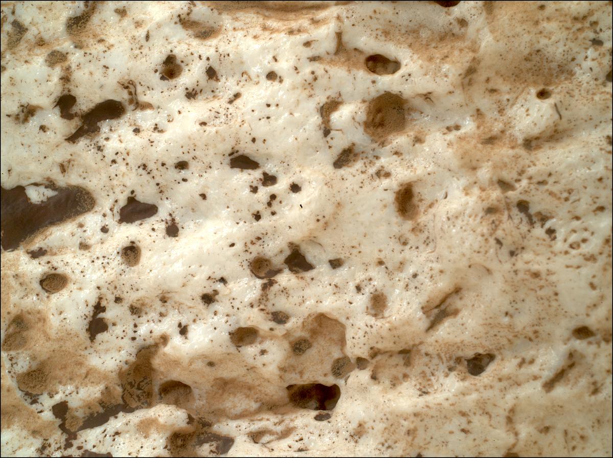 This image was taken by SHERLOC_WATSON onboard NASA's Mars rover Perseverance on Sol 2023