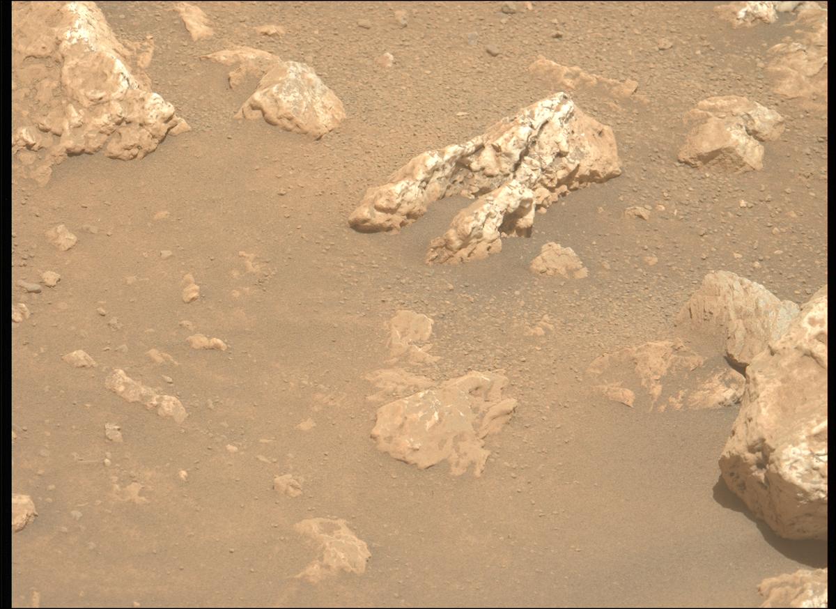 This image was taken by MCZ_LEFT onboard NASA's Mars rover Perseverance on Sol 2023