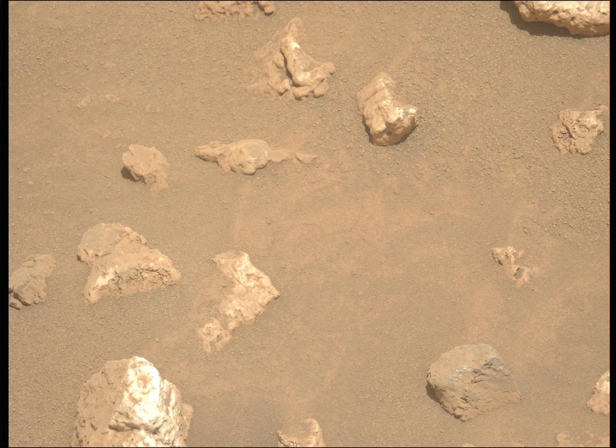 This image was taken by MCZ_LEFT onboard NASA's Mars rover Perseverance on Sol 2023