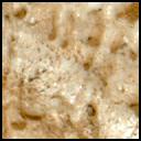 View image taken on Mars, Mars Perseverance Sol 2023: Left Mastcam-Z Camera