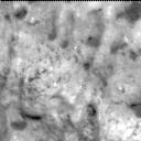 View image taken on Mars, Mars Perseverance Sol 2023: Left Mastcam-Z Camera