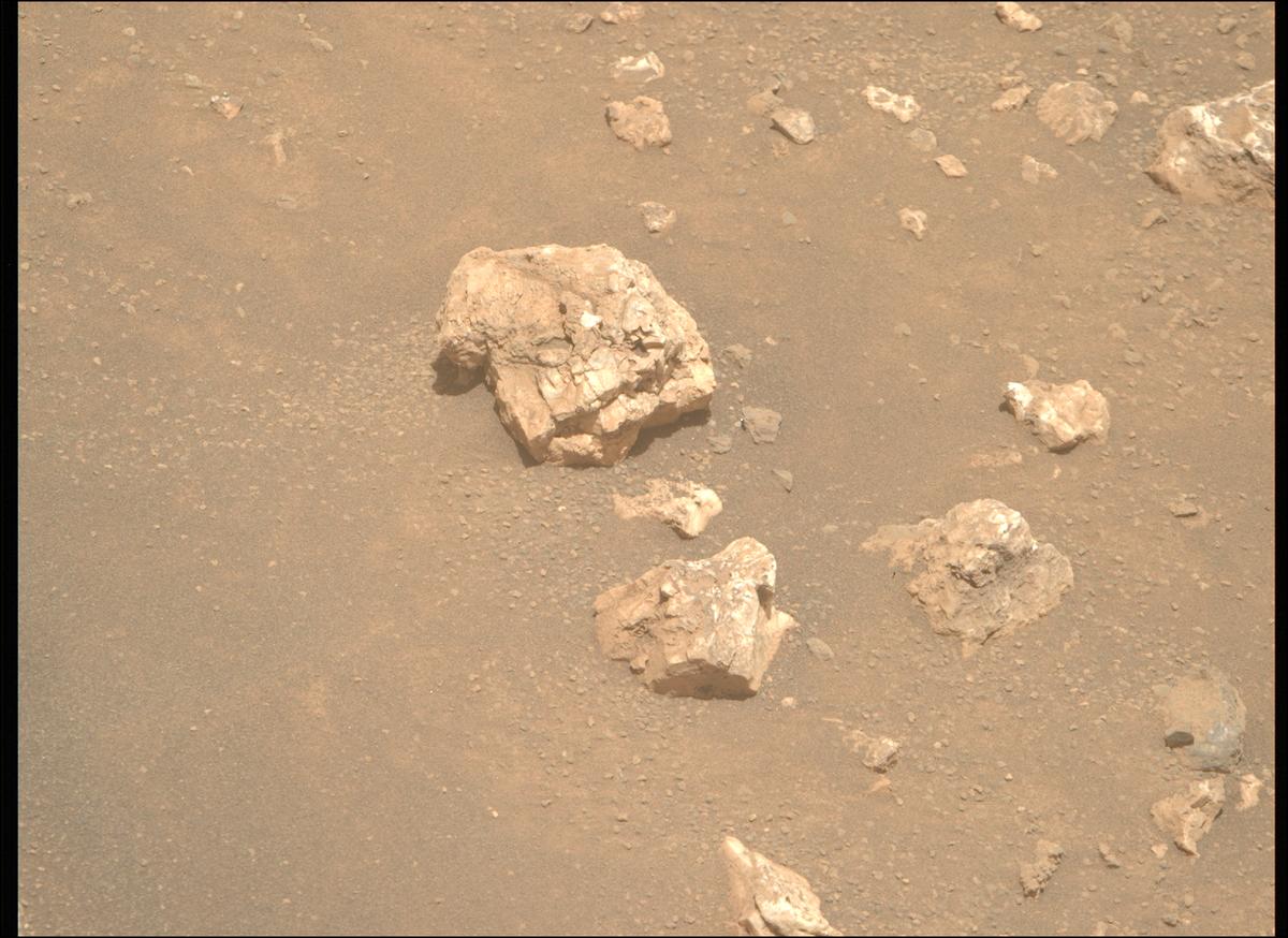 This image was taken by MCZ_RIGHT onboard NASA's Mars rover Perseverance on Sol 2023
