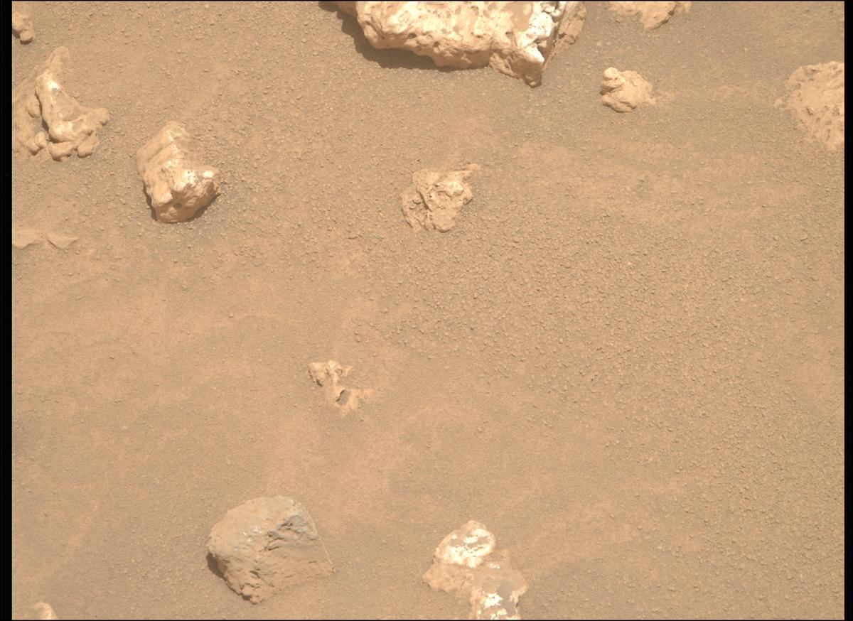 This image was taken by MCZ_RIGHT onboard NASA's Mars rover Perseverance on Sol 2023