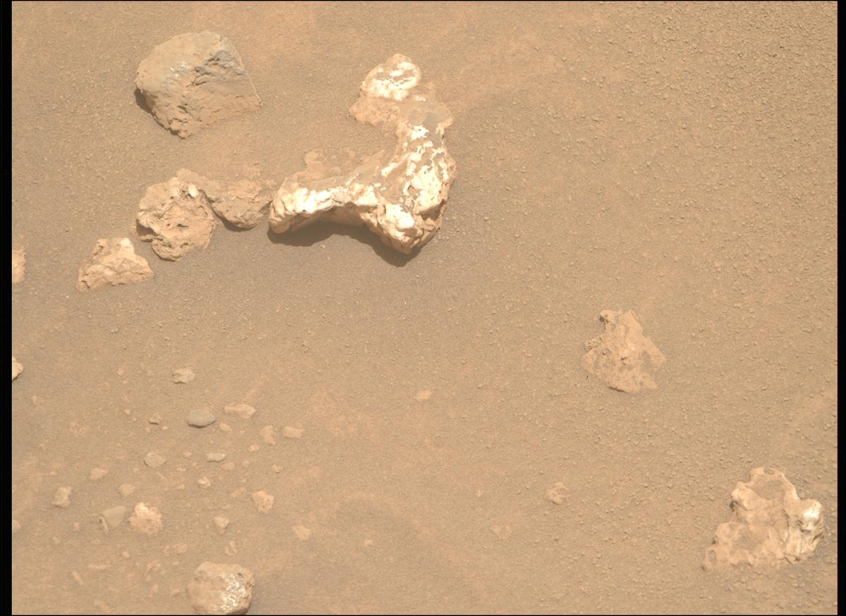 This image was taken by MCZ_RIGHT onboard NASA's Mars rover Perseverance on Sol 2023