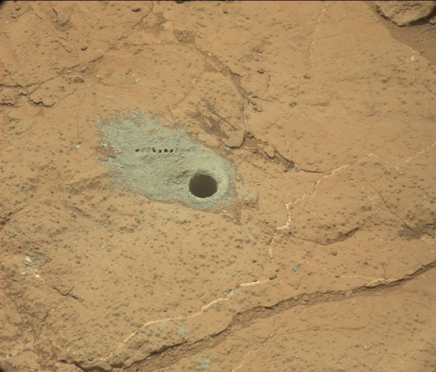Кто живет на марсе. Странные снимки с Марса. Странные предметы на Марсе. Марс фото. Насекомые на Марсе.