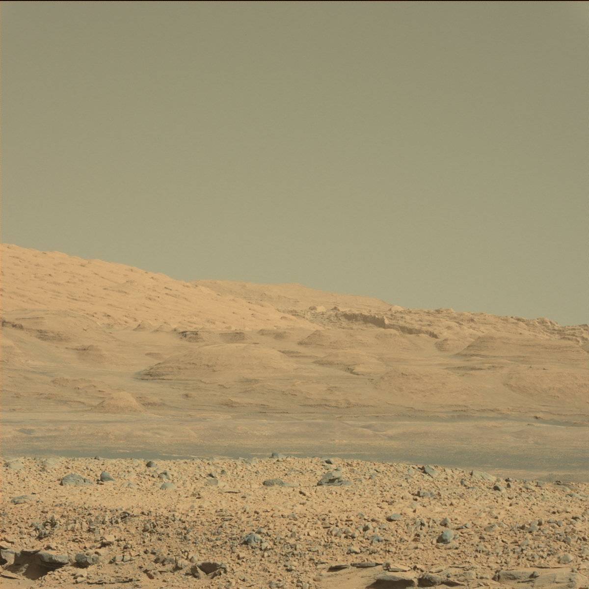 Nasa's Mars rover Curiosity acquired this image using its Mast Camera (Mastcam) on Sol 530, at drive 184, site number 26