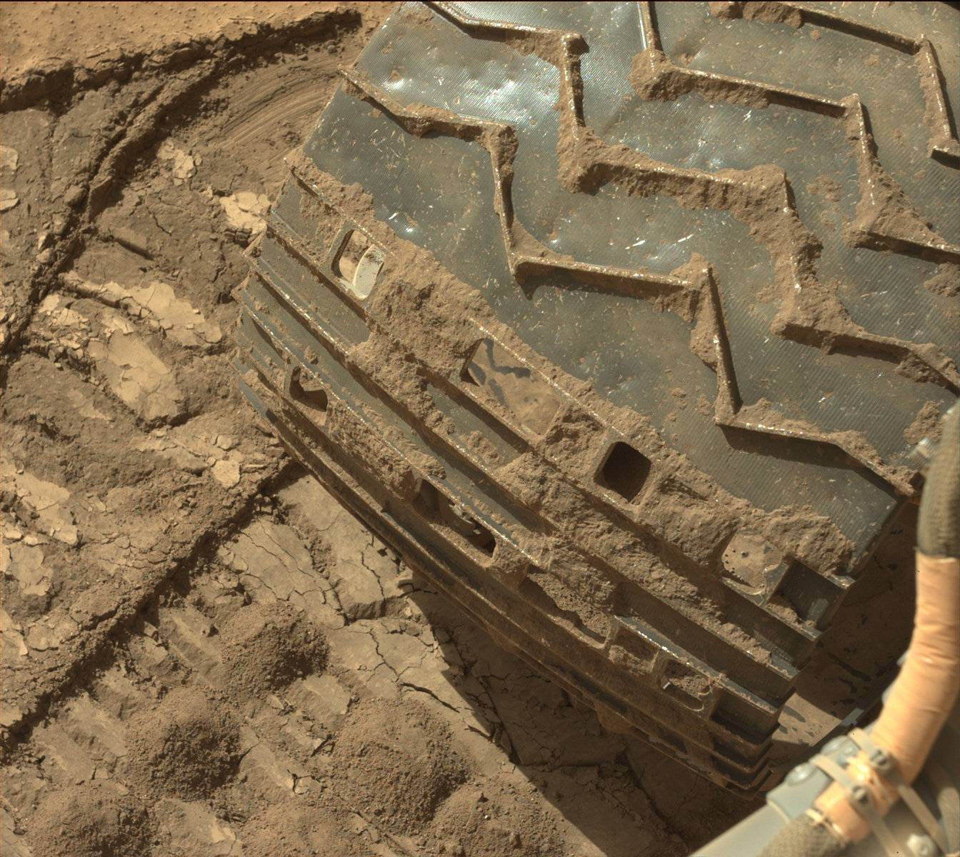 Nasa's Mars rover Curiosity acquired this image using its Mast Camera (Mastcam) on Sol 532, at drive 208, site number 26