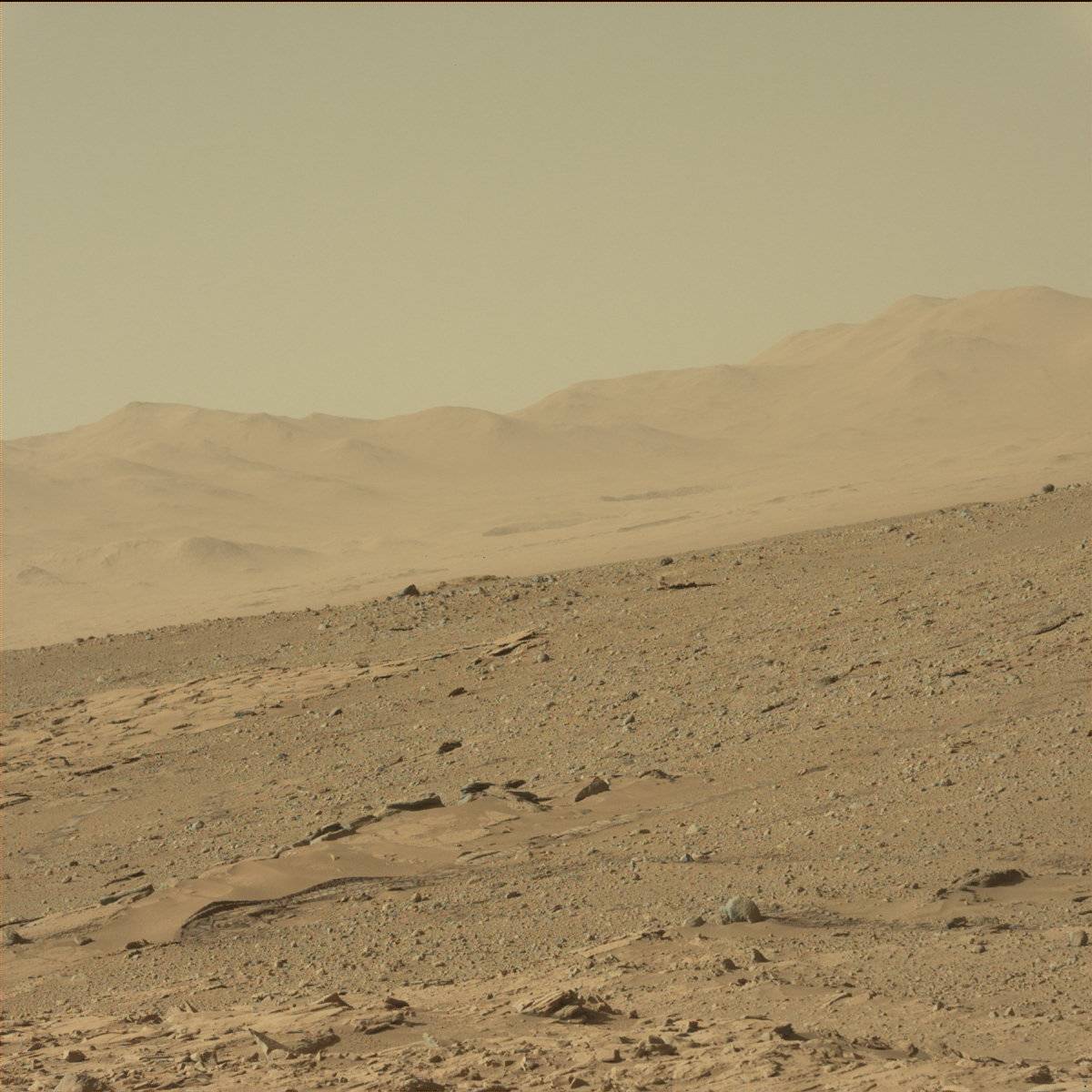 Nasa's Mars rover Curiosity acquired this image using its Mast Camera (Mastcam) on Sol 610, at drive 1330, site number 31